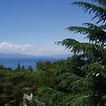 Elizabet