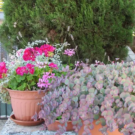 Apartament Elizabet Malinska